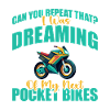 Pocketbike, Pocket Bike, motorcycle