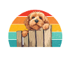 Cockapoo Gifts