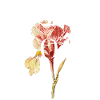 Sloth Love – Florale Kunst & Faultier