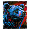 Bear Portrait