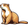 Marmot