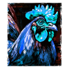 Rooster Portrait