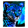 Cheetah Portrait