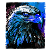 Eagle Portrait