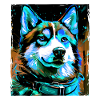 Husky Dog Portrait