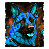 Schäferhund Hund Porträt