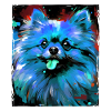 Pomeranian Dog Portrait