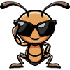 ant animal