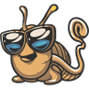 Schnecke Cool