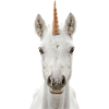 Einhorn