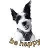 Cookie"be Happy"