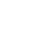 Ant Insect