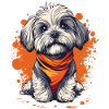 Havanese puppy funny dog dogs