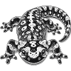 Feuersalamander