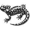 Feuersalamander