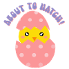 About to Hatch Girl