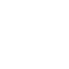 Boussole Viking Vegvisir
