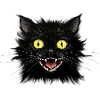 A Nervous Black Cat