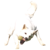 Catch the ball