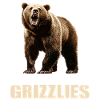 Grizzlis Ours grizzly