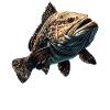 mérou mérou