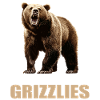 Grizzlis Ours grizzly