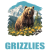 Grizzlis Ours grizzly