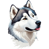 Alaskan Malamute