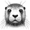 Fischotter