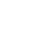 bird animal protection magic