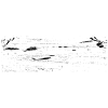 Bodybuilding Fitness Off Season Training