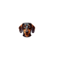 I love my dachshund