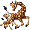 Giraffe mother with child frolicking