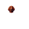 J'adore mon Setter Irlandais