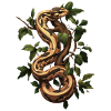 Königspython Schlangen Liebhaber Terrarium Python