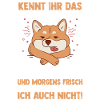 Lazy late riser motivation dog