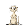 Drolliges Erdmännchen Hessisch Uffgebasst