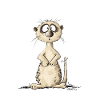 Drolliges Erdmännchen I Watch It Spruch