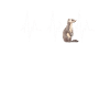 Wiesel