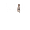 Wallaby