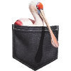 Löffler
