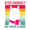6th Grade