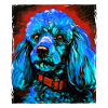 Poodle Dog Portrait
