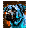 Kangal Dog Portrait