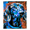 Teckel Chien Portrait Teckel