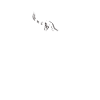 Café du matin