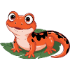 Salamandre feuillue