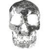 Crâne effrayant