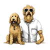 Goldendoodle Fusion