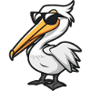 pelican bird animal